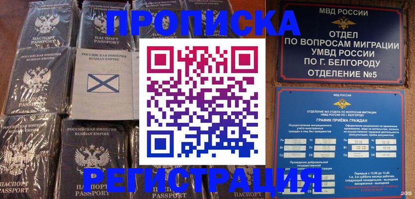 прописка гарантия в Вольске